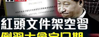 [ID: _cNYVNmkWlg] Youtube Automatic