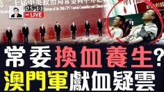 [ID: fUrlGmOXjaU] Youtube Automatic