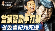 [ID: nxupDoUtv8k] Youtube Automatic