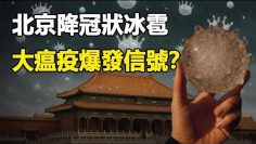 [ID: q-RulzXavrM] Youtube Automatic