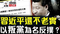 [ID: 1bwiE8cGPkM] Youtube Automatic