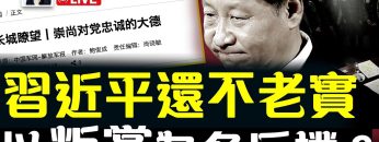 [ID: 1bwiE8cGPkM] Youtube Automatic