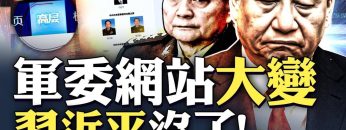 私密：[ID: 34GrdaZ9dcs] Youtube Automatic