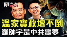 [ID: 9A84EFg419A] Youtube Automatic