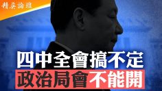 [ID: 9SonKZW5n9I] Youtube Automatic