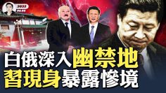 私密：[ID: DjS09ZrEx4o] Youtube Automatic