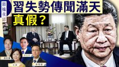 [ID: gr_M_zMyQHQ] Youtube Automatic