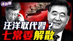 私密：[ID: IiMDiyRy778] Youtube Automatic