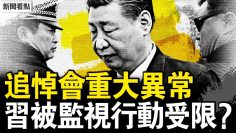 [ID: mSqKTI4yUT0] Youtube Automatic