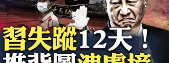 [ID: mzk4U9W8Kq0] Youtube Automatic