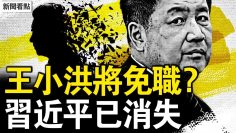 [ID: NZ5IH7HmXM8] Youtube Automatic