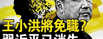 [ID: NZ5IH7HmXM8] Youtube Automatic