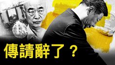 [ID: OLz51MBhulY] Youtube Automatic