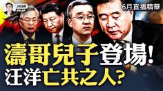 [ID: pzndxu52xy8] Youtube Automatic