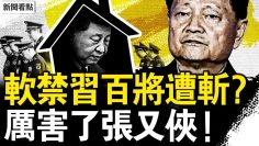 私密：[ID: qfStHoabwM0] Youtube Automatic