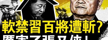 私密：[ID: qfStHoabwM0] Youtube Automatic