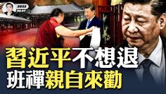 [ID: TmLn-vZzmGY] Youtube Automatic