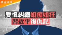 [ID: bSc_sVsmK9c] Youtube Automatic