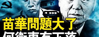 [ID: Hap4mZ_y29c] Youtube Automatic