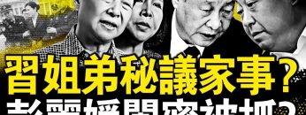 私密：[ID: HDCsDg1lEGo] Youtube Automatic