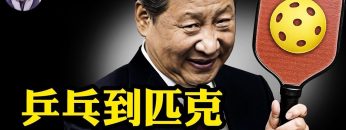 [ID: miO02XmBFls] Youtube Automatic