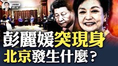 私密：[ID: Ol8HLNnjxac] Youtube Automatic