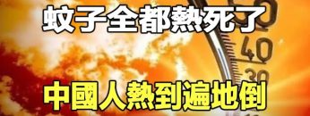 [ID: QlGhxLcPUmk] Youtube Automatic