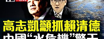 私密：[ID: Ri81pwfLm_A] Youtube Automatic