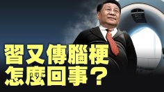 [ID: vUeH12xhMpc] Youtube Automatic