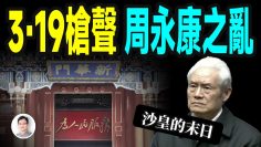 私密：[ID: Zm9WTuL6pZ8] Youtube Automatic