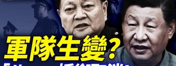 [ID: 8oNf9q1v088] Youtube Automatic