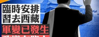 [ID: boCqWmrqxyA] Youtube Automatic