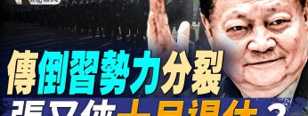 [ID: Qe5WIP16V08] Youtube Automatic