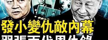 私密：[ID: Rdy9wBCfo_s] Youtube Automatic