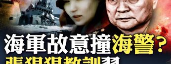 私密：[ID: wPLllH1M5ao] Youtube Automatic