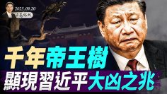 [ID: 3cDLPQHq80k] Youtube Automatic