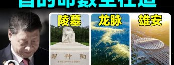 [ID: 5tc3jeE1ZIQ] Youtube Automatic