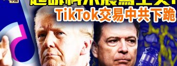 私密：[ID: 5u6xFP2mFlg] Youtube Automatic