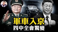 [ID: LT-0pRZVV5A] Youtube Automatic