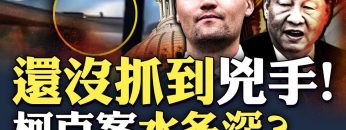 私密：[ID: QakFEAOplO0] Youtube Automatic