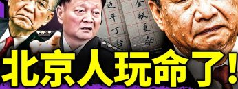 私密：[ID: r_iVYYDJc0I] Youtube Automatic