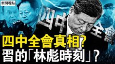 私密：[ID: 1oOUHqHlzeA] Youtube Automatic