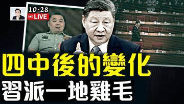 [ID: AxjeIZi2dXg] Youtube Automatic