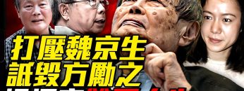 私密：[ID: dVE_KBtuNUs] Youtube Automatic