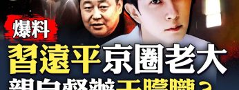 私密：[ID: EDCHnHJ0TW4] Youtube Automatic