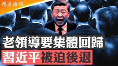 [ID: H68q08vfbcA] Youtube Automatic