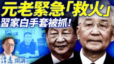 [ID: lL9a9EGJrM4] Youtube Automatic