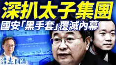 [ID: B6ac-AFIcsw] Youtube Automatic