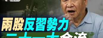 [ID: gDAvfLl8Orc] Youtube Automatic