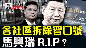 [ID: hmdc7eEGeyw] Youtube Automatic